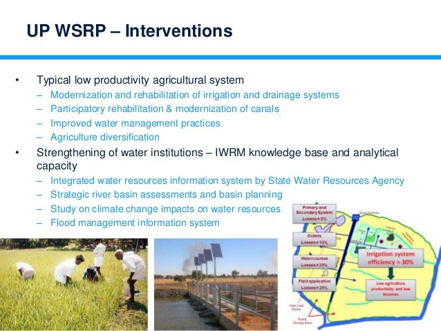 Irrigation and River Basin Management: